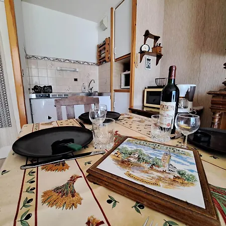 Apartment T2 Centre Avec Garage, Terrasse Et Parc Prive - Fr-1-165a-101